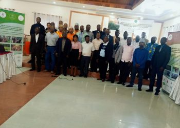 Ituri: les leaders religieux en atelier de formation  à Bunia pour la protection des forêts