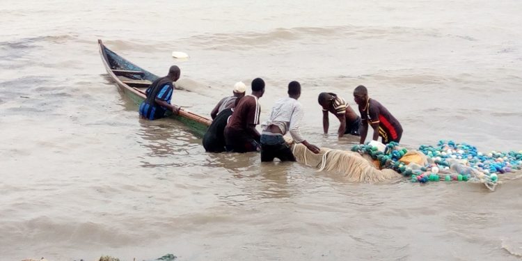 Nord-Kivu : la règlementation de la pêche sur le Lac Edouard divise