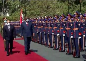 Diplomatie : le barrage de la Renaissance au cœur des échanges entre F. Tshisekedi et Al-Sissi