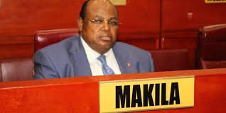 RDC : le sénateur José Makila cherche la tête de l’IGF Jules Alingete