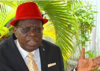 Gouvernement : une commission ad hoc pour organiser les obsèques de Nsinga Udjuu