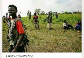 Nord-Kivu : 3 morts dans une embuscade à Ruwenzori