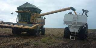 RDC : le conseil des ministres encourage un Forum National sur les états généraux de l’Agriculture