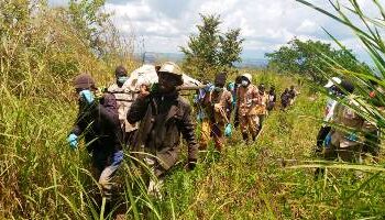 Beni : deux (2) corps sans vie découverts près de Maimoya (Nord-Kivu)