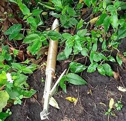 Nord-Kivu : une bombe artisanale des ADF fait un mort et un blessé à Beni-Ntoma