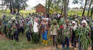 Maniema : plusieurs morts dans une incursion de pygmées à Kabambare