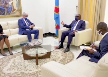 RDC-France : développement et changement climatique au centre des échanges entre Sama Lukonde  et Bruno Aubert