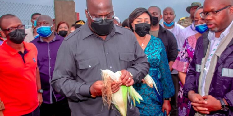 En séjour au Kasaï oriental : Félix Tshisekedi visite le projet agricole de Nkwadi