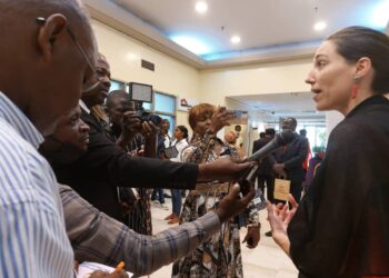 Fin de la mission économique et commerciale belge en RDC : le satisfecit de  Isabelle Grippa