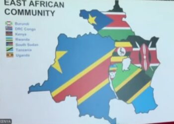 Afrique/Sécurité : un sommet Kenya, RDC, Ouganda, Rwanda et Burundi  ce jeudi à Naïrobi