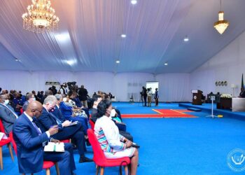 RDC : la stratégie nationale du P-DDRCS validée