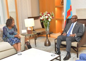 Bilatérales TICAD8 : les assurances du PNUD  pour le financement des entreprises aux mains des femmes et des jeunes en RDC