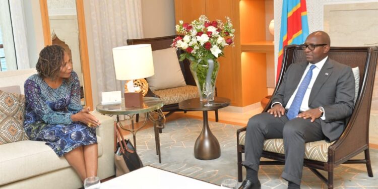 Bilatérales TICAD8 : les assurances du PNUD  pour le financement des entreprises aux mains des femmes et des jeunes en RDC