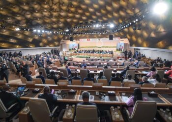 Ticad 8 : le Japon apporte 30 milliards Usd à l’Afrique sur 3 ans