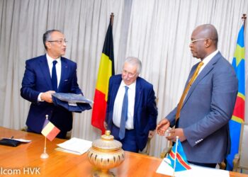 Kinshasa-Bruxelles: les projets de développement au menu des échanges entre G. Ngobila et une délégation belge