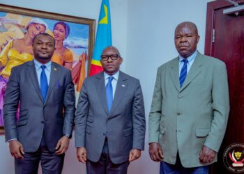 Primature : plaidoyer pour la rentabilisation du bambou et du rotin en RDC