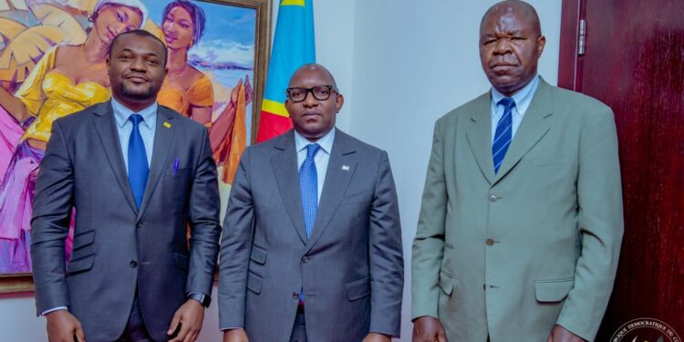 Primature : plaidoyer pour la rentabilisation du bambou et du rotin en RDC