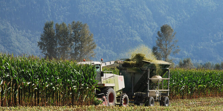 RDC : évolution du Projet de transformation de l’Agriculture dans le cadre du Programme d’Urgence Intégré de Développement Communautaire