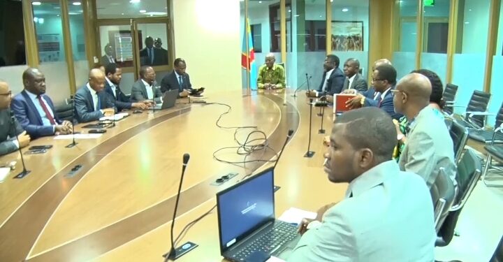 Santé publique : gratuité de la maternité et des soins au nouveau-né dès fin juin 2023