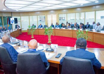 RDC : les partenaires techniques et financiers appelés à mettre sur pied des modèles innovants dans les financements des projets 