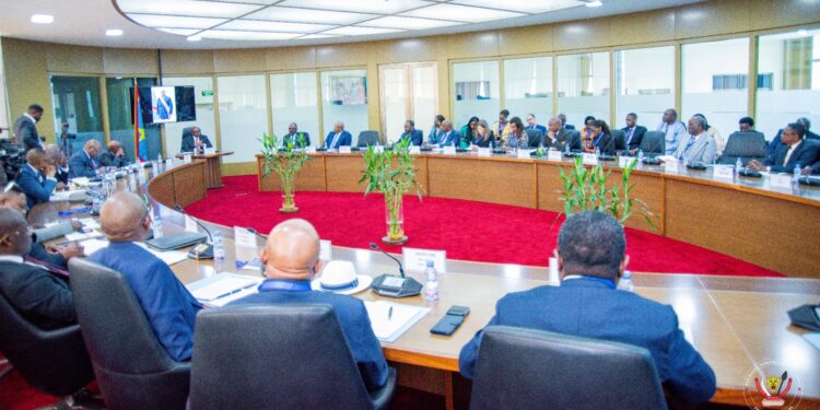 RDC : les partenaires techniques et financiers appelés à mettre sur pied des modèles innovants dans les financements des projets 