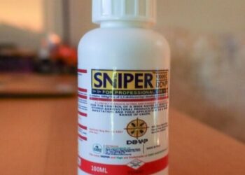 Sniper : les intoxications explosent avec cet insecticide interdit