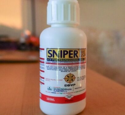 Sniper : les intoxications explosent avec cet insecticide interdit