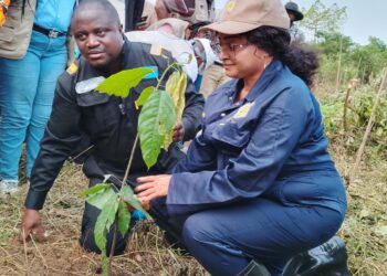 RDC : Muhindo Nzangi lance la campagne de produits agricoles pérennes